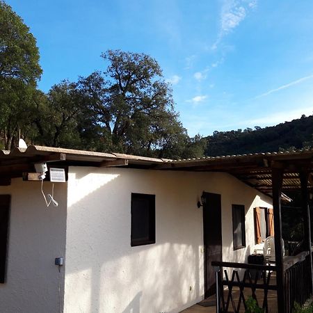 Les Amandiers Sainte-Maxime Chambre photo