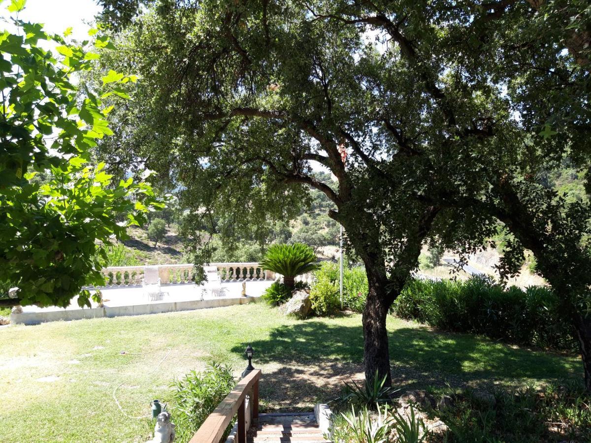 Les Amandiers Sainte-Maxime Extérieur photo