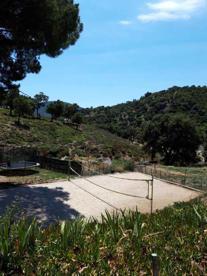 Les Amandiers Sainte-Maxime Extérieur photo